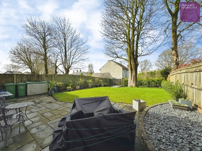 Picture 15